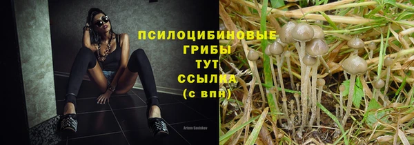 МДПВ Алексин